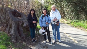 Nordic Walking 